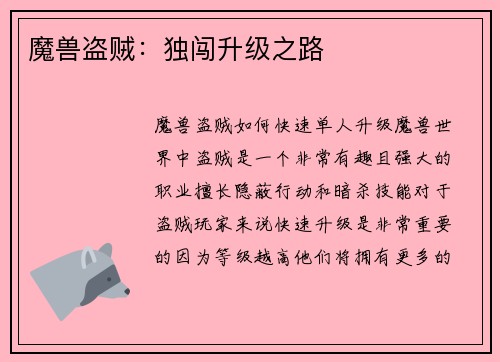 魔兽盗贼：独闯升级之路